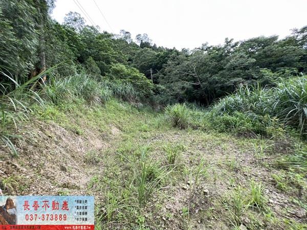 苗栗農地_山坡地_休閒地-6