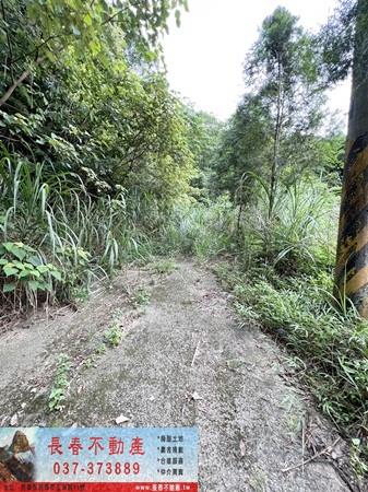 苗栗農地_山坡地_休閒地-7