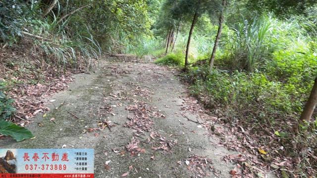 苗栗農地_山坡地_休閒地-8