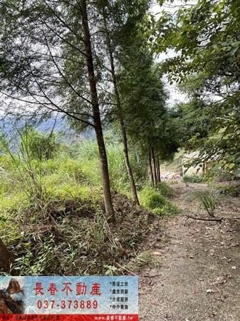 苗栗農地_山坡地_休閒地-9