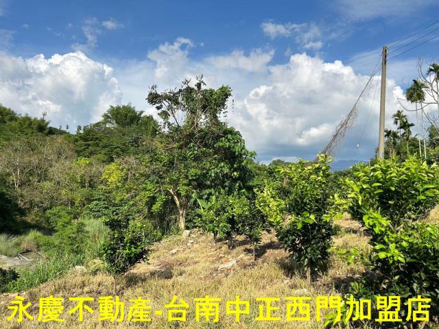 台南白河建地-11