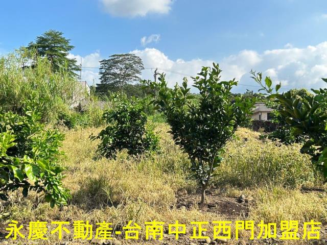 台南白河建地-8