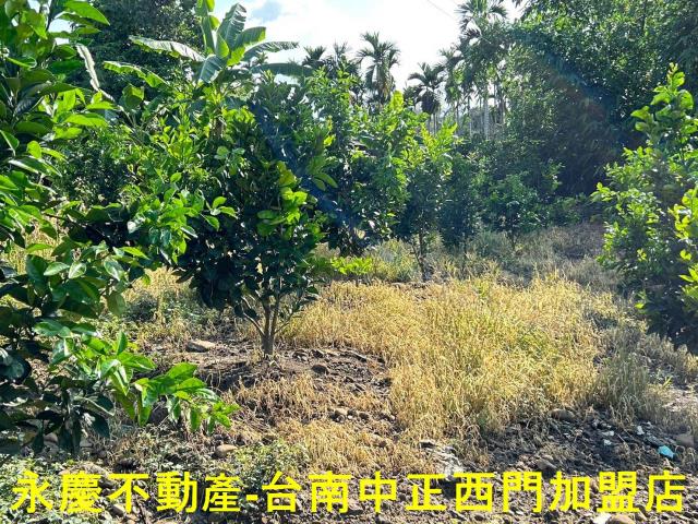 台南白河建地-9