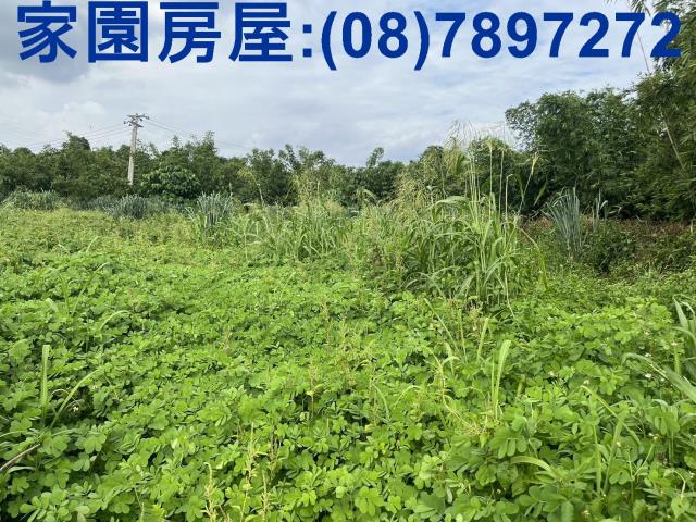 屏東農地_休閒地-1