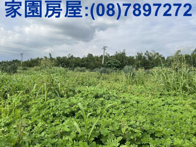 屏東農地_休閒地-2