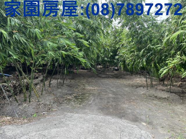 屏東農地_休閒地-3