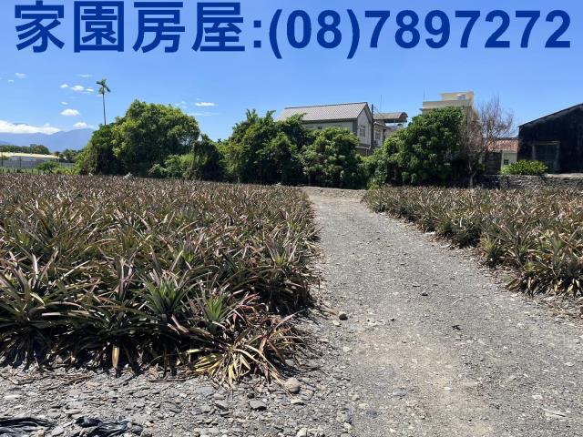 屏東潮州農地_休閒地-1