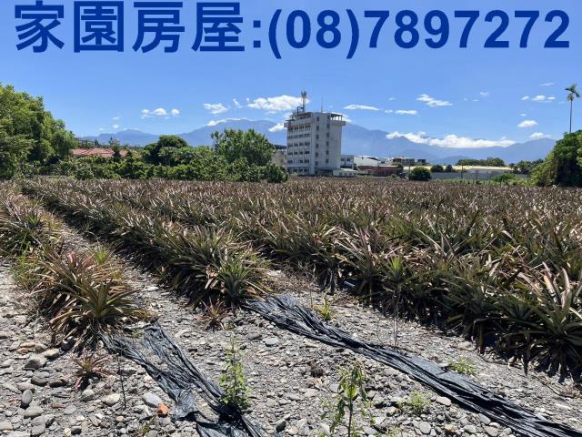 屏東潮州農地_休閒地-2