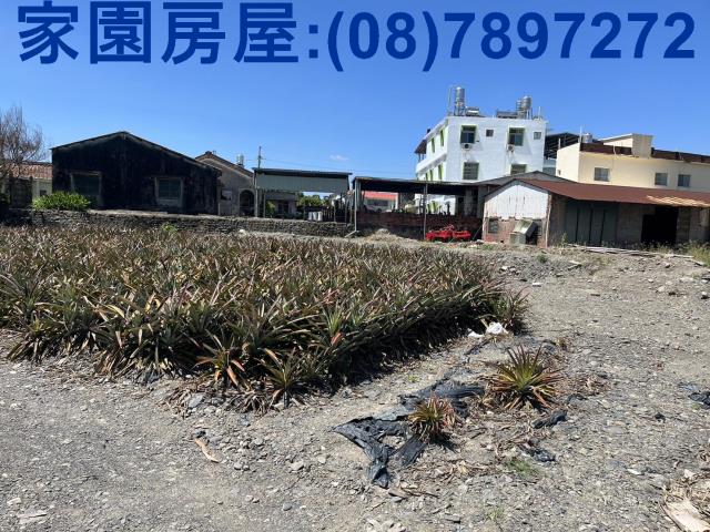 屏東潮州農地_休閒地-3