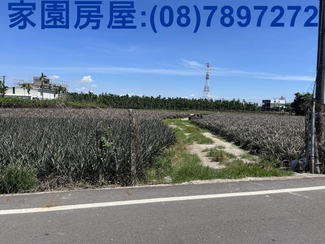 屏東潮州農地_休閒地-5