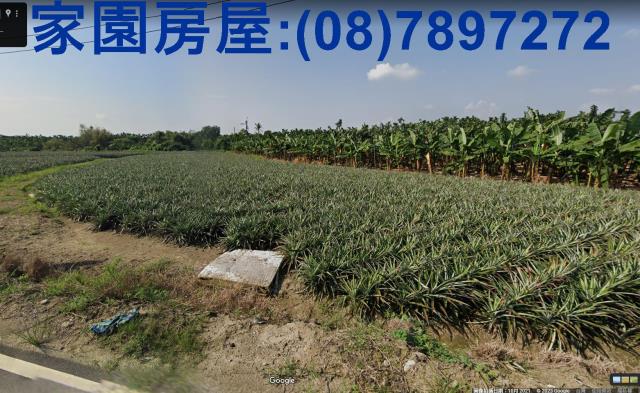 萬巒農地-4