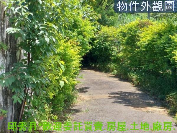 新北農地_建地-4