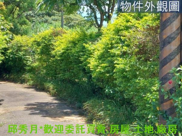 新北農地_建地-5