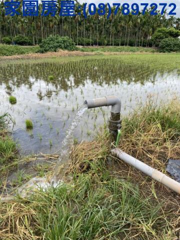 屏東竹田農地-2