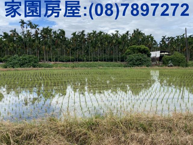 屏東竹田農地-5