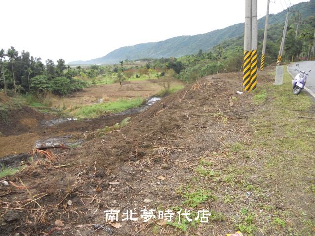 花蓮壽豐農地_山坡地-3