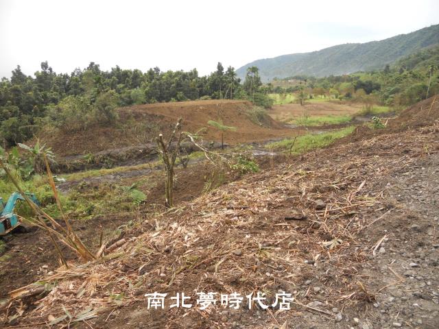 花蓮壽豐農地_山坡地-7