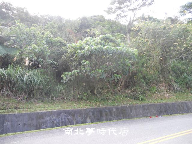 花蓮壽豐農地_山坡地-8