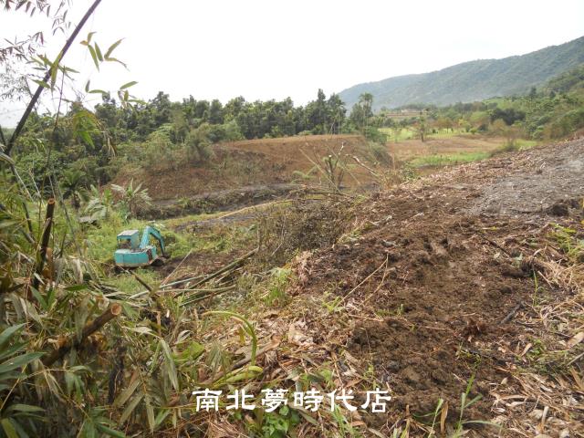 花蓮壽豐農地_山坡地-9