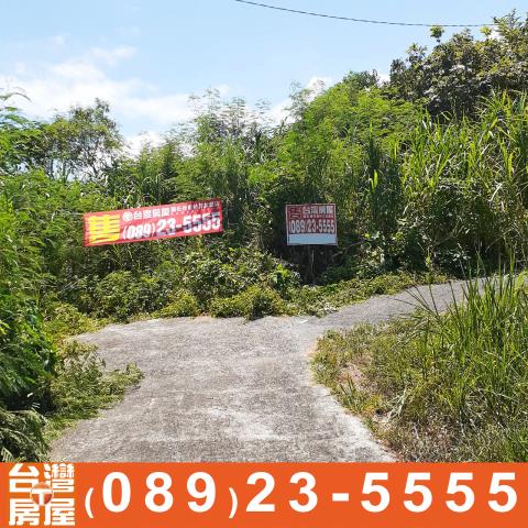 台東成功農地-2