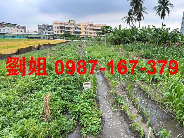 高雄林園建地_商業地_市場用地-1