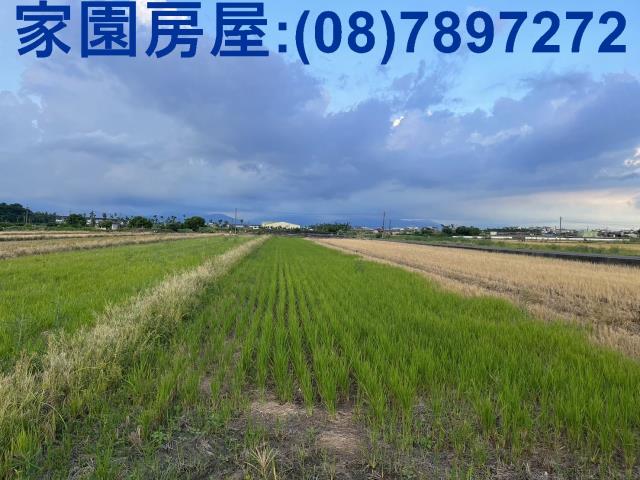 屏東農地_休閒地-1
