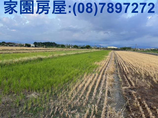 屏東農地_休閒地-2