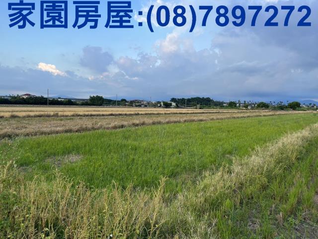 屏東農地_休閒地-3