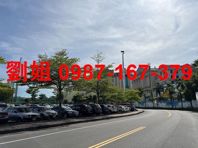 大樹農地_休閒地-1