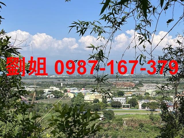 大樹農地_休閒地-2