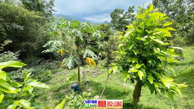 新竹峨眉農地-14