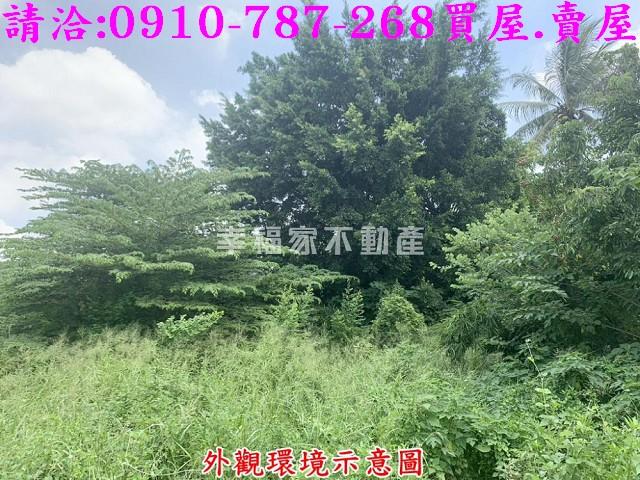 仁德農地_工業地-4