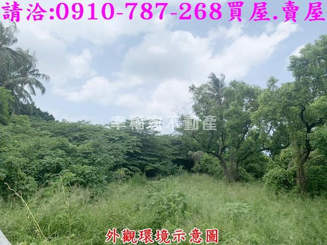 仁德農地_工業地-5