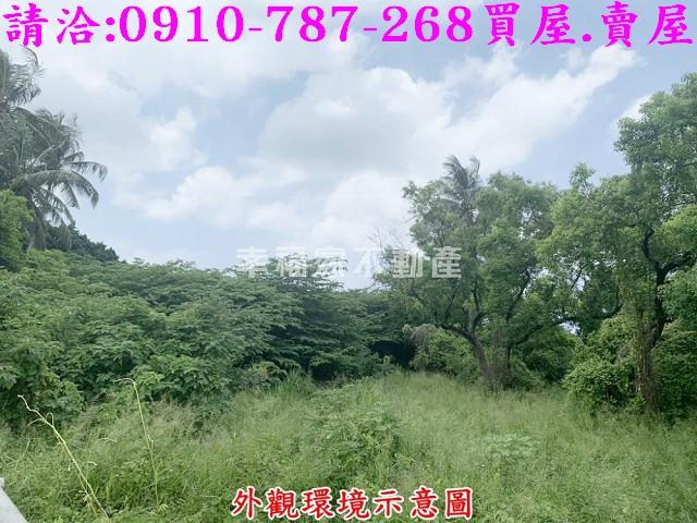 仁德農地_工業地-6