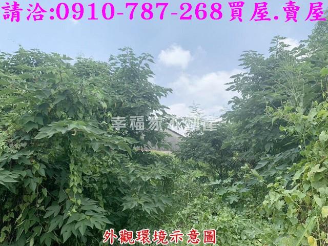 仁德農地_工業地-7