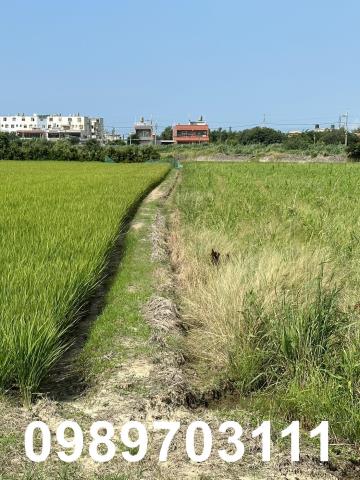 桃園農地-3