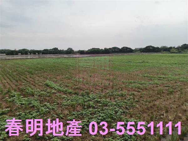 竹北農地-1