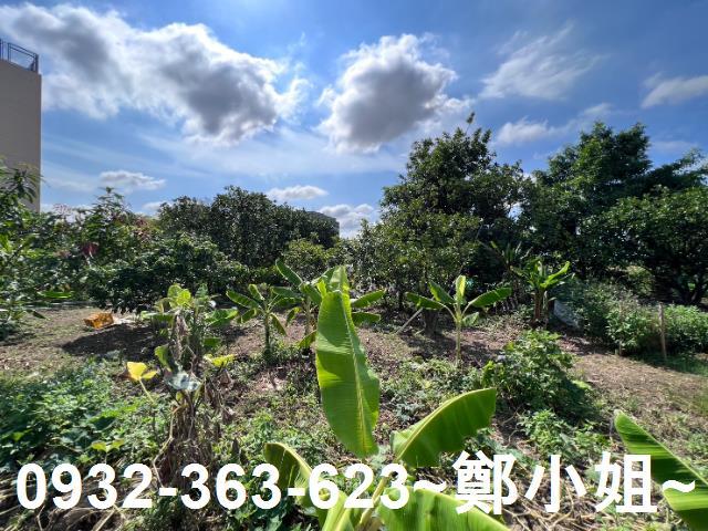 桃園桃園區農地-12