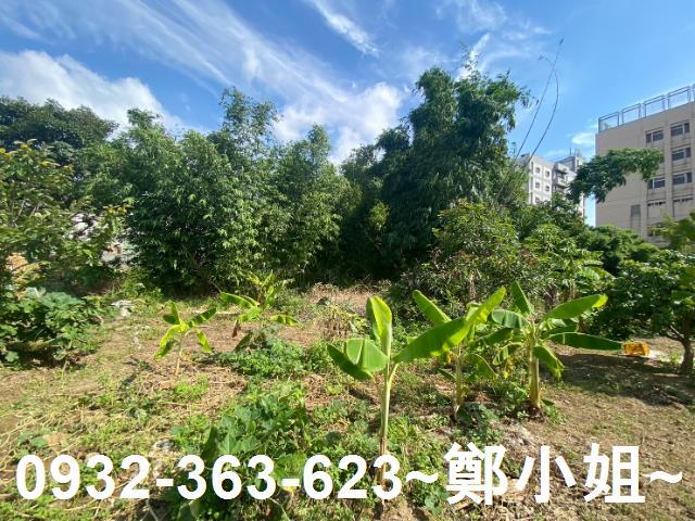 桃園桃園區農地-2
