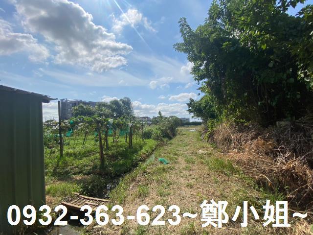 桃園桃園區農地-3