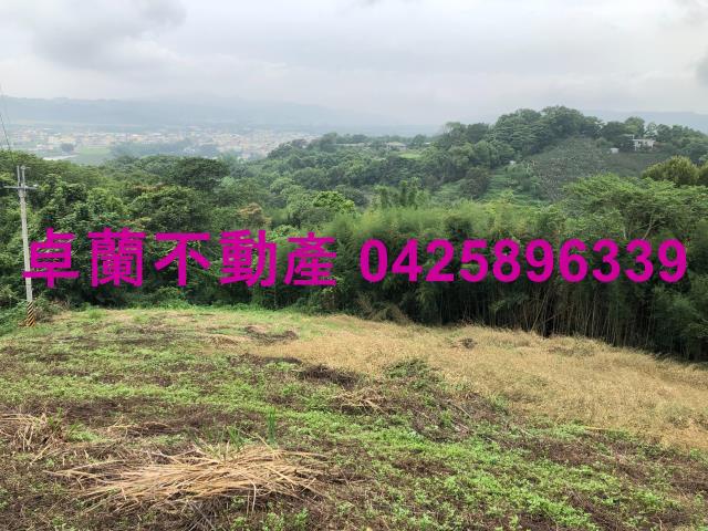卓蘭農地-6