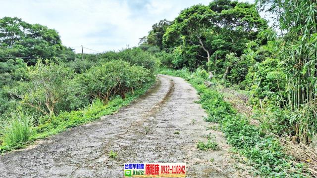 苗栗農地-12