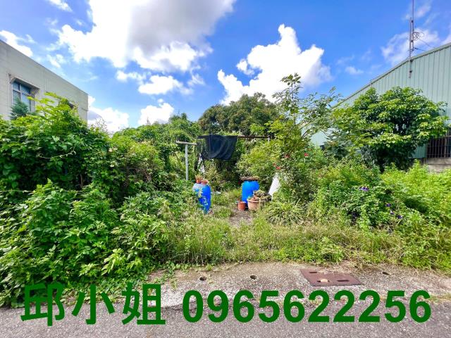 嘉義水上農地_建地-1