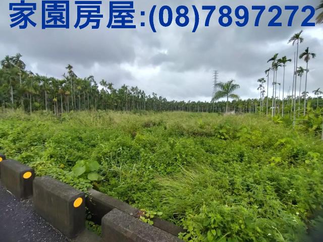 屏東潮州農地-3