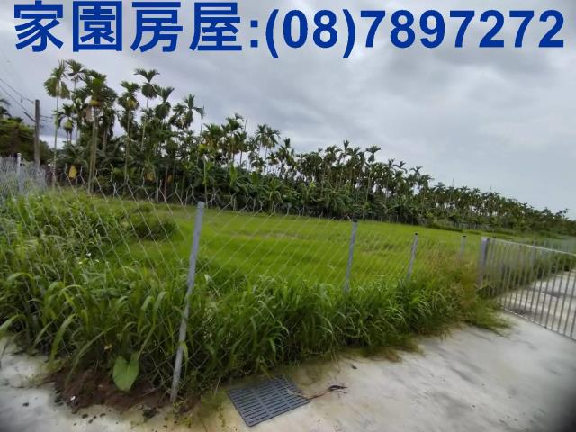 萬巒農地-1