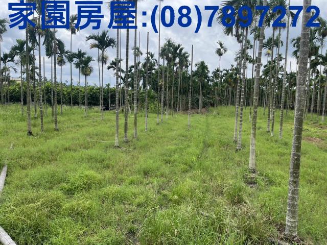 新埤農地_休閒地-1