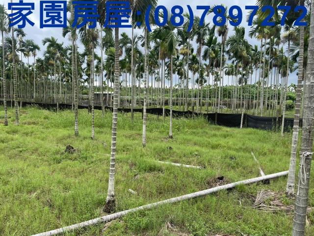 新埤農地_休閒地-2