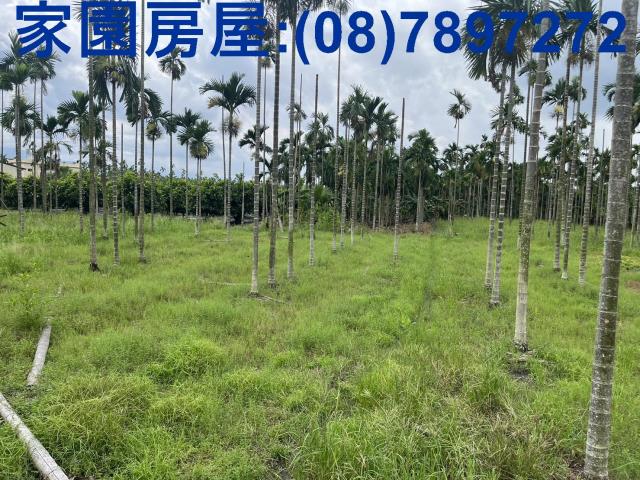 新埤農地_休閒地-3