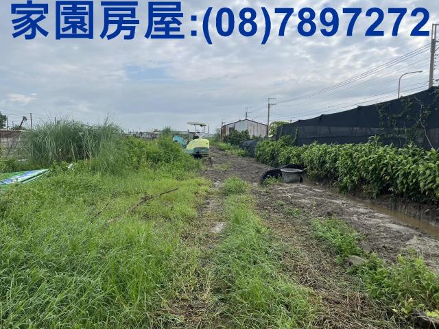 萬丹農地_休閒地-1