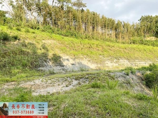 苗栗公館農地_山坡地_休閒地-9